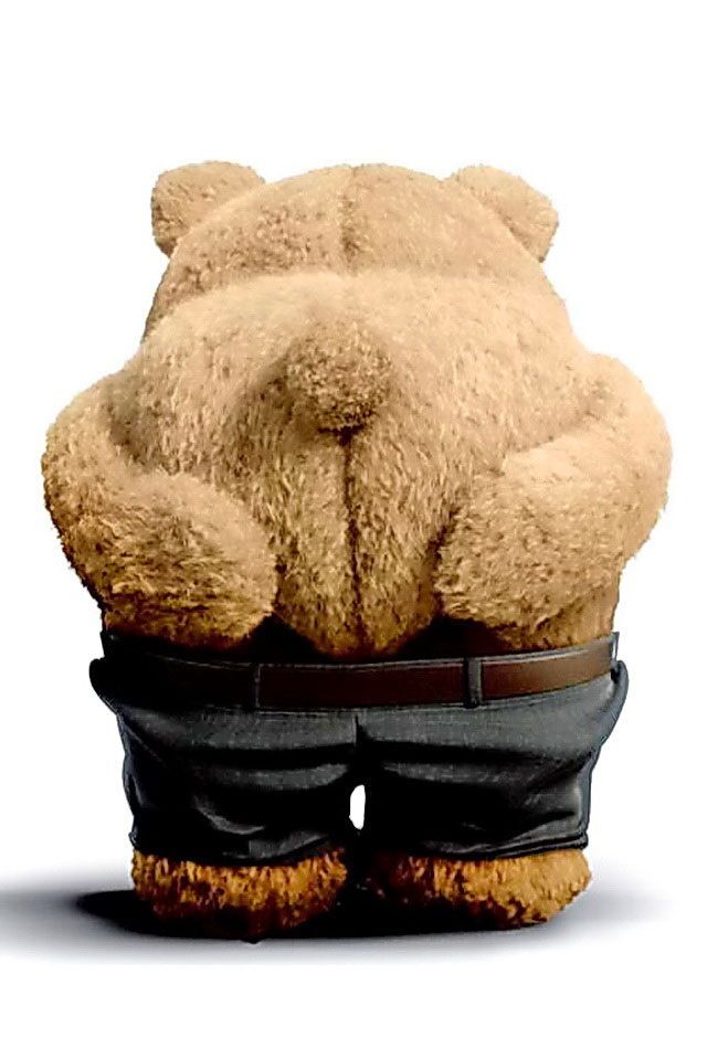Chubby bear Wallpaper / jokes Pinterest Bears and Lol