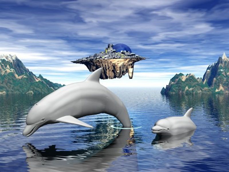 3d digital Bottlenose dolphin wallpaper hd and images | cute ...