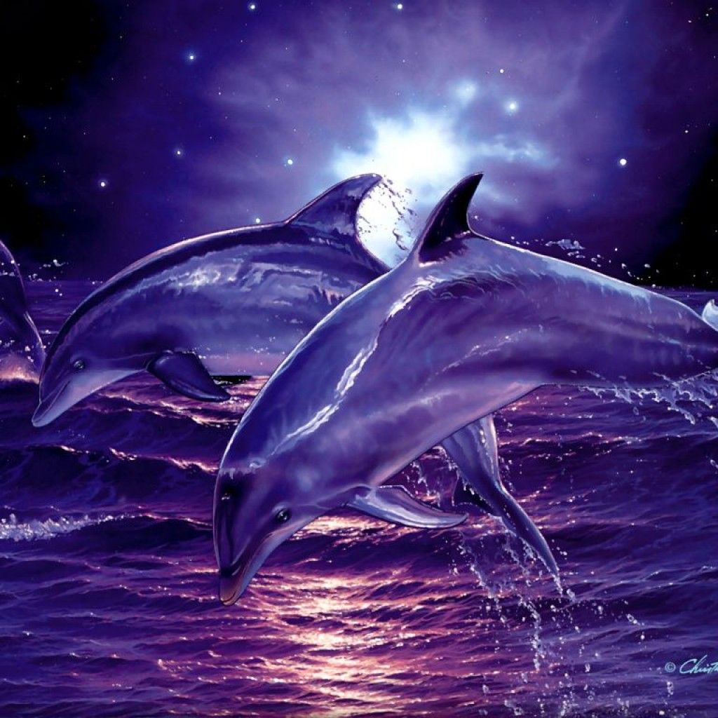 3d-Digital-Dolphins-Desktop-Wallpaper-1-2xla0wao49ezxizx7x0t1m.jpg