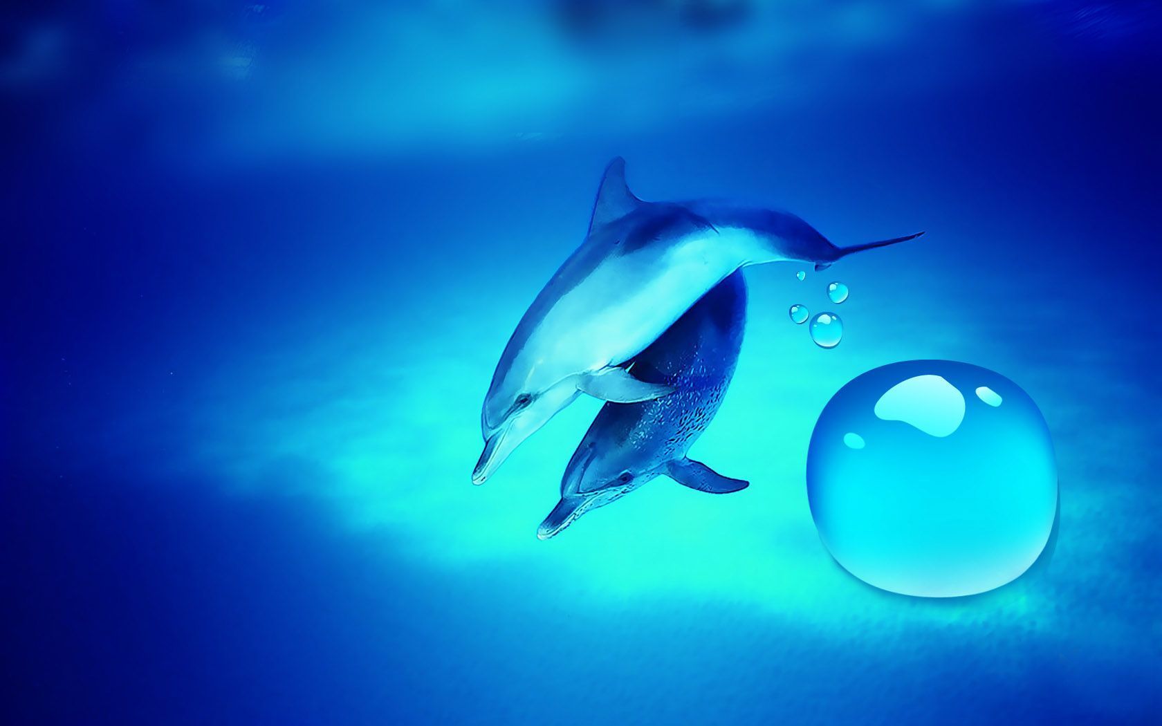 Romantic Dolphin Wallpaper Desktop,Dolphins hd wallpapers,Animal ...