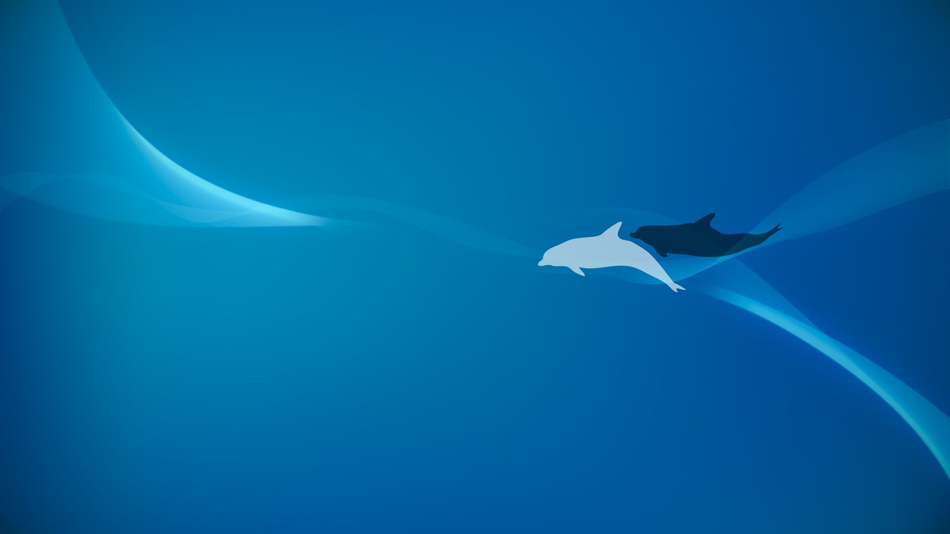 black and white dolphins HD wallpaper by lechmarcin on DeviantArt