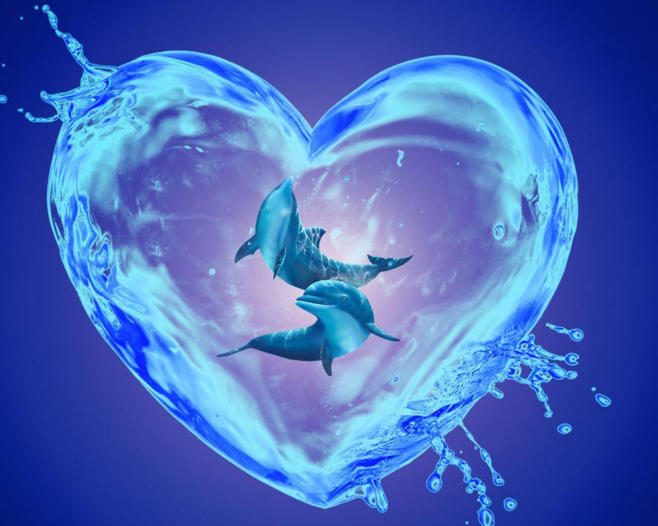 1280x1024 / Dolphin heart - (#147600) - High Quality and Resolution Wallpap...