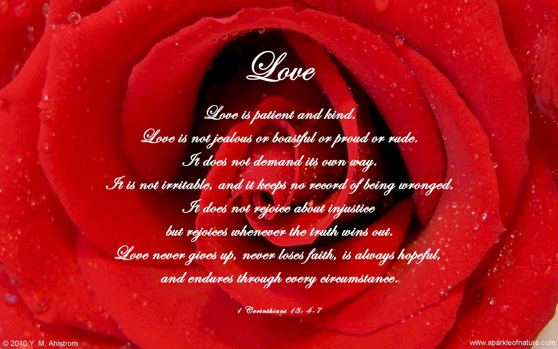 Love Sparkle Red Rose : Full HD desktop wallpaper : Wallinda