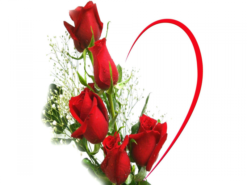 Love Red Roses Background - typta.com