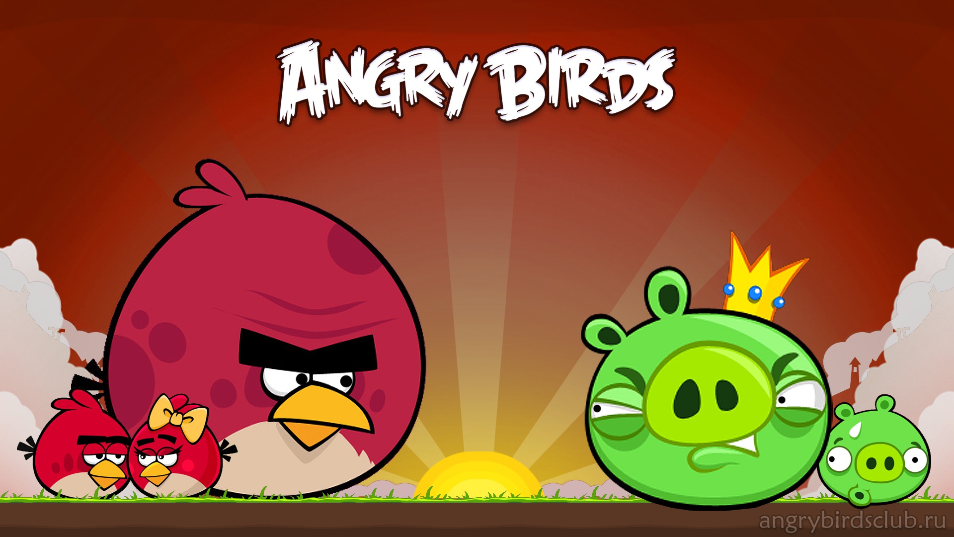Angry Birds Photos Wallpaper Gallery - ARASPOT.com