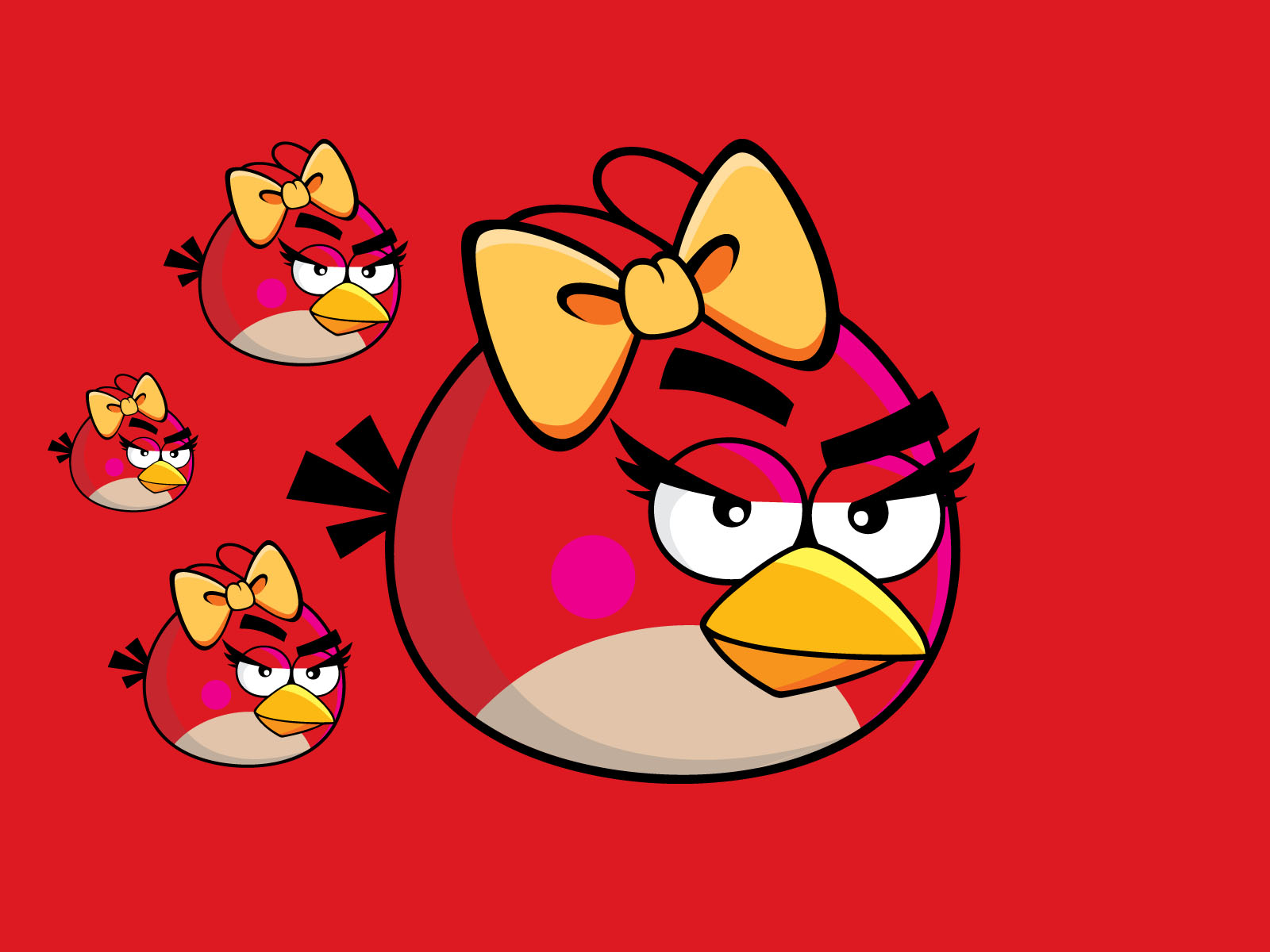 Red Angry Bird Wallpaper #6807630