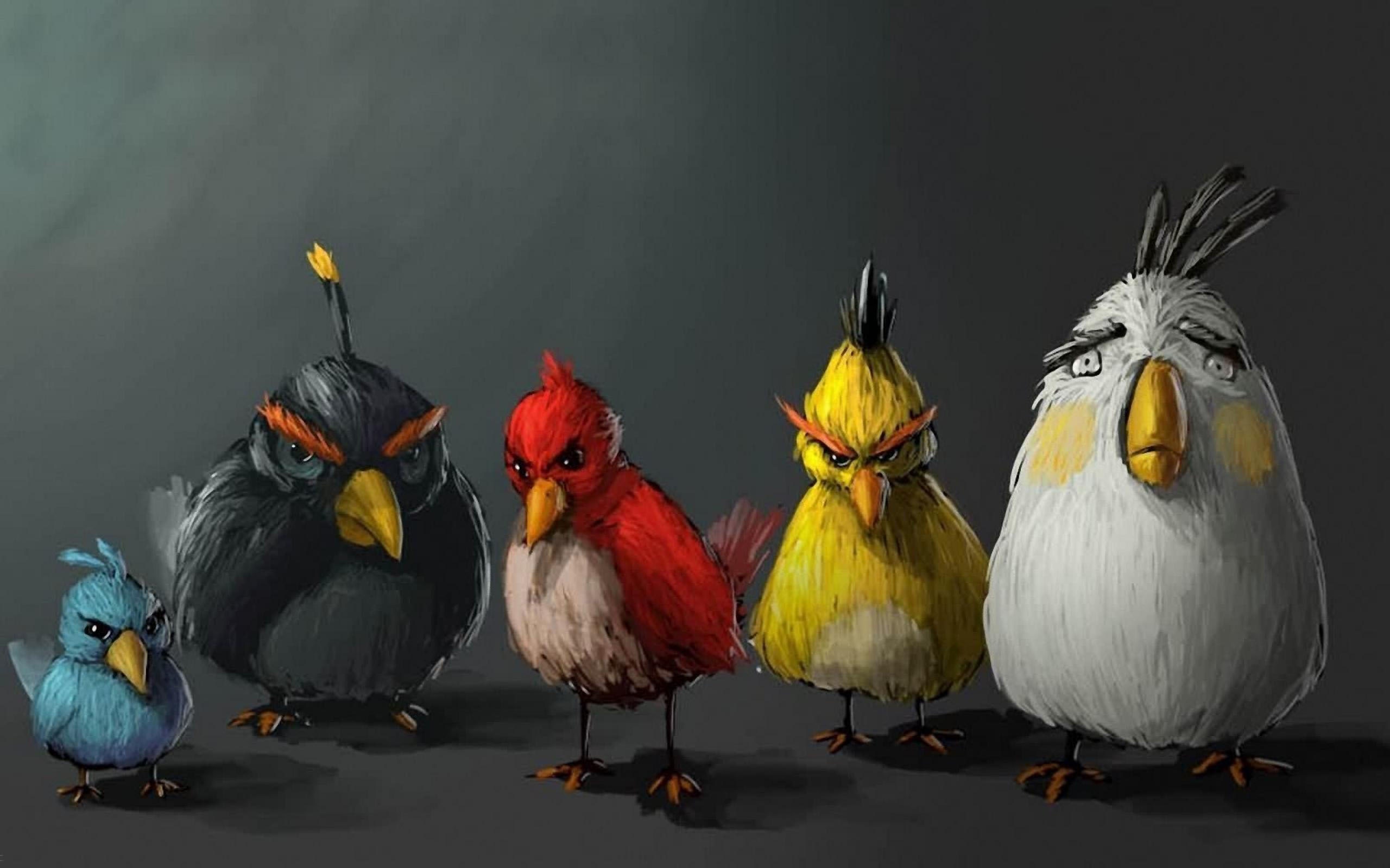 Angry Birds Realistic Painting HD Wallpaper - Cool Wallpapers