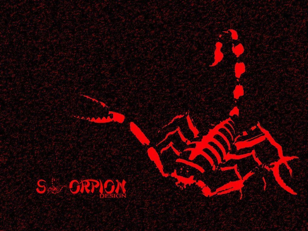 Scorpions Wallpapers
