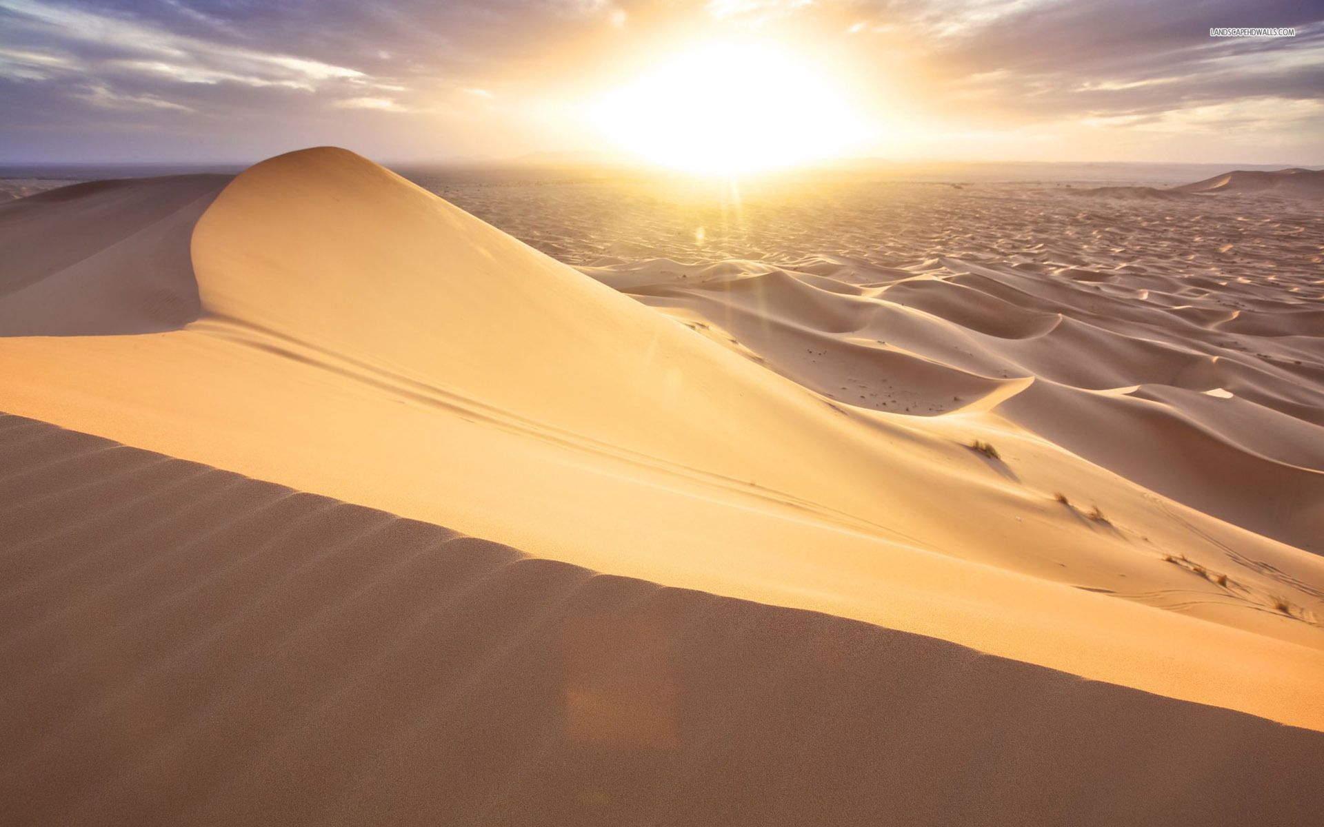 Sand dune in the desert, nature, 1920x1200 HD Wallpaper and FREE ...