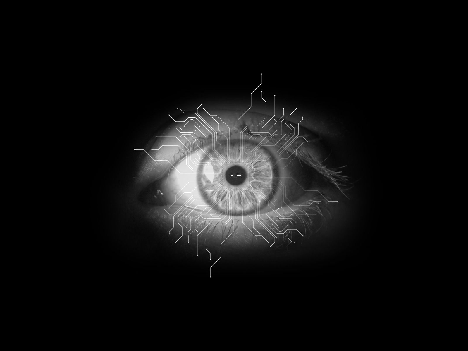 Download Black Eye In Dark Night Background Pohoto Wallpaper ...