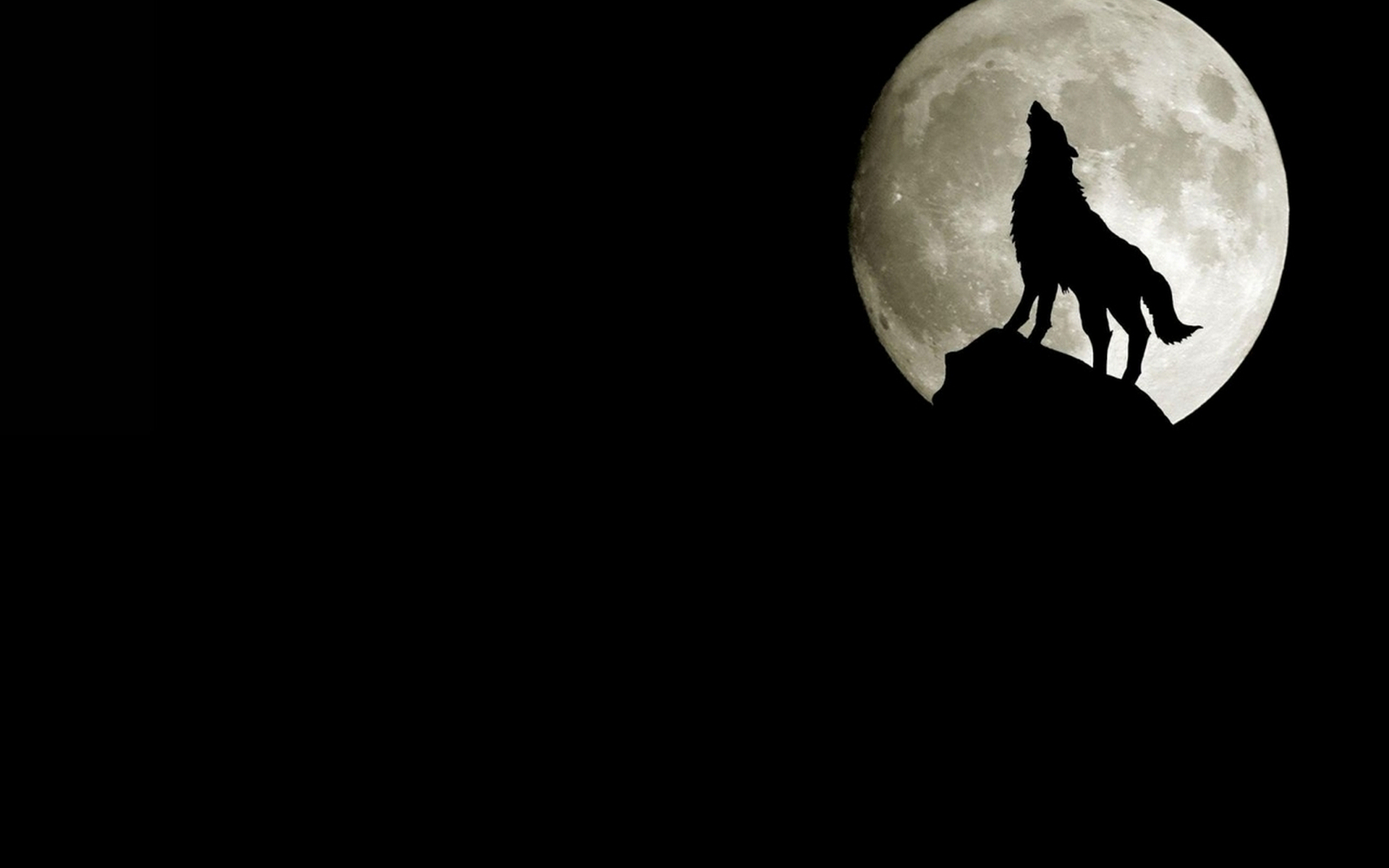 Wolf Howling At Moon Dark Free Wallpaper HD