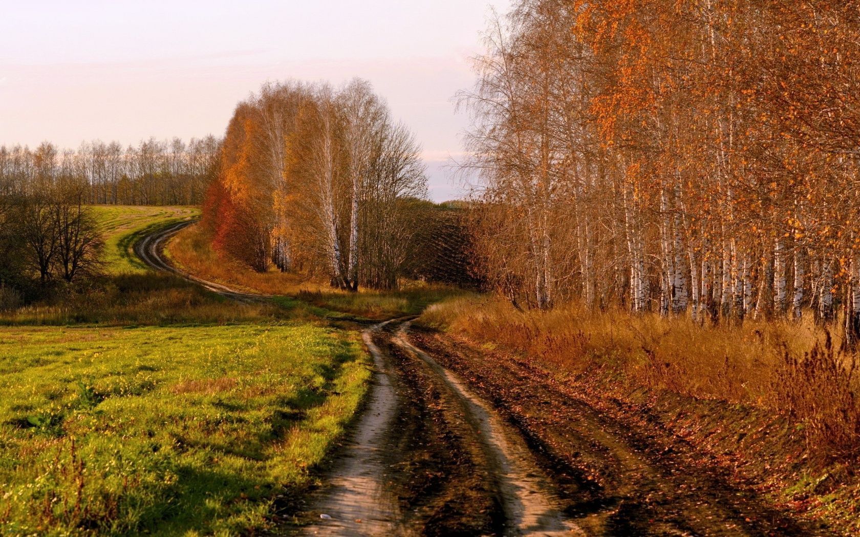 1680x1050 Country Road in Autumn desktop PC and Mac wallpaper