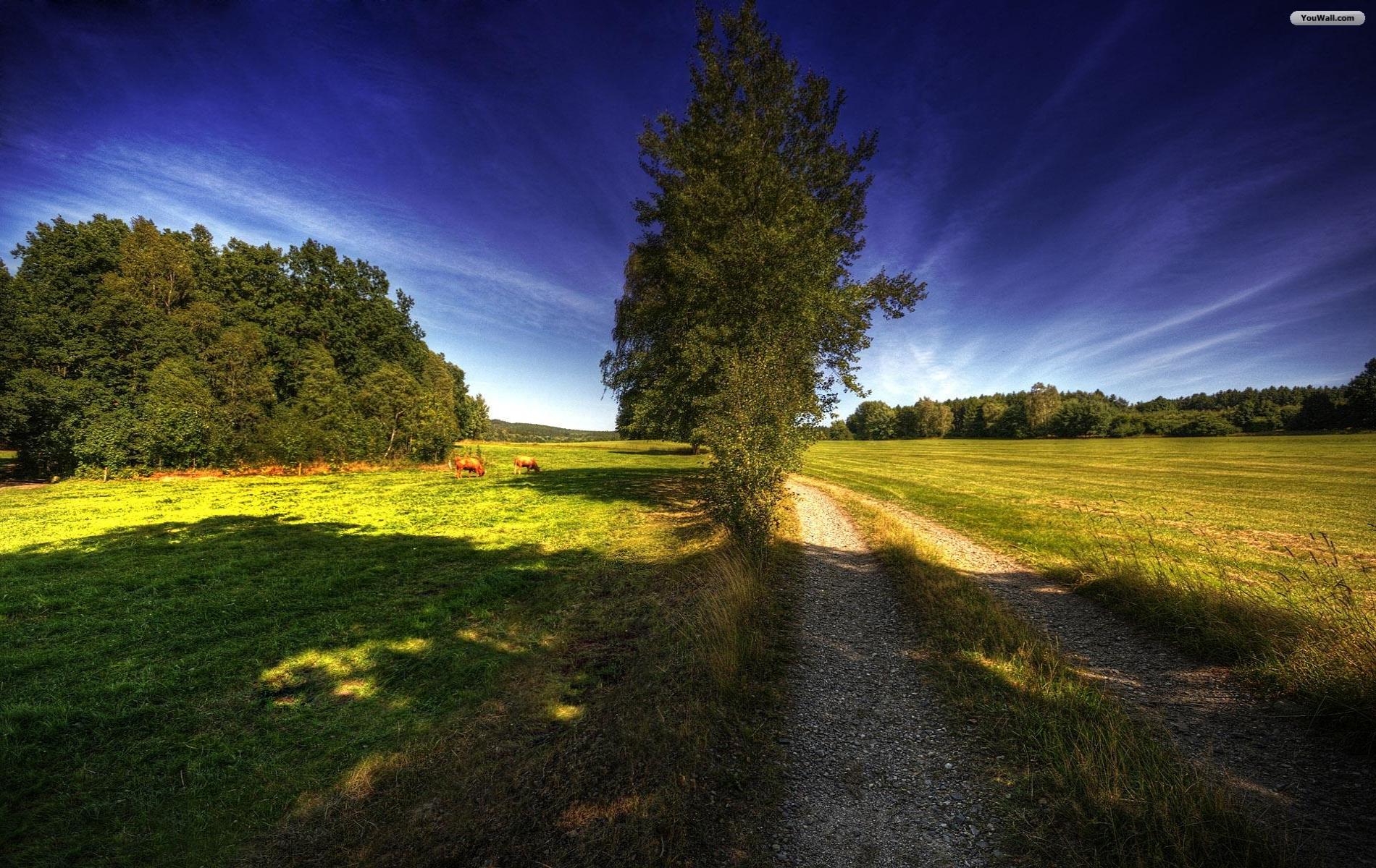 YouWall - Country Road Wallpaper - wallpaper,wallpapers,free ...