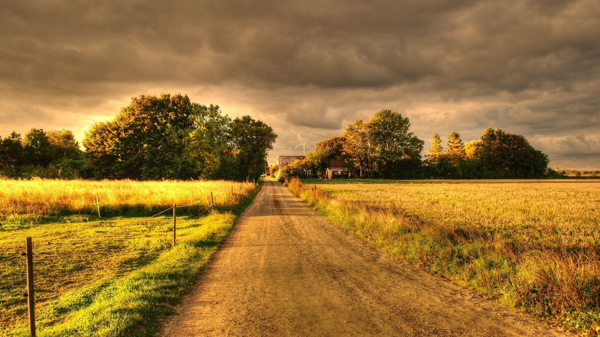 Country Dirt Road At Night Wallpaper