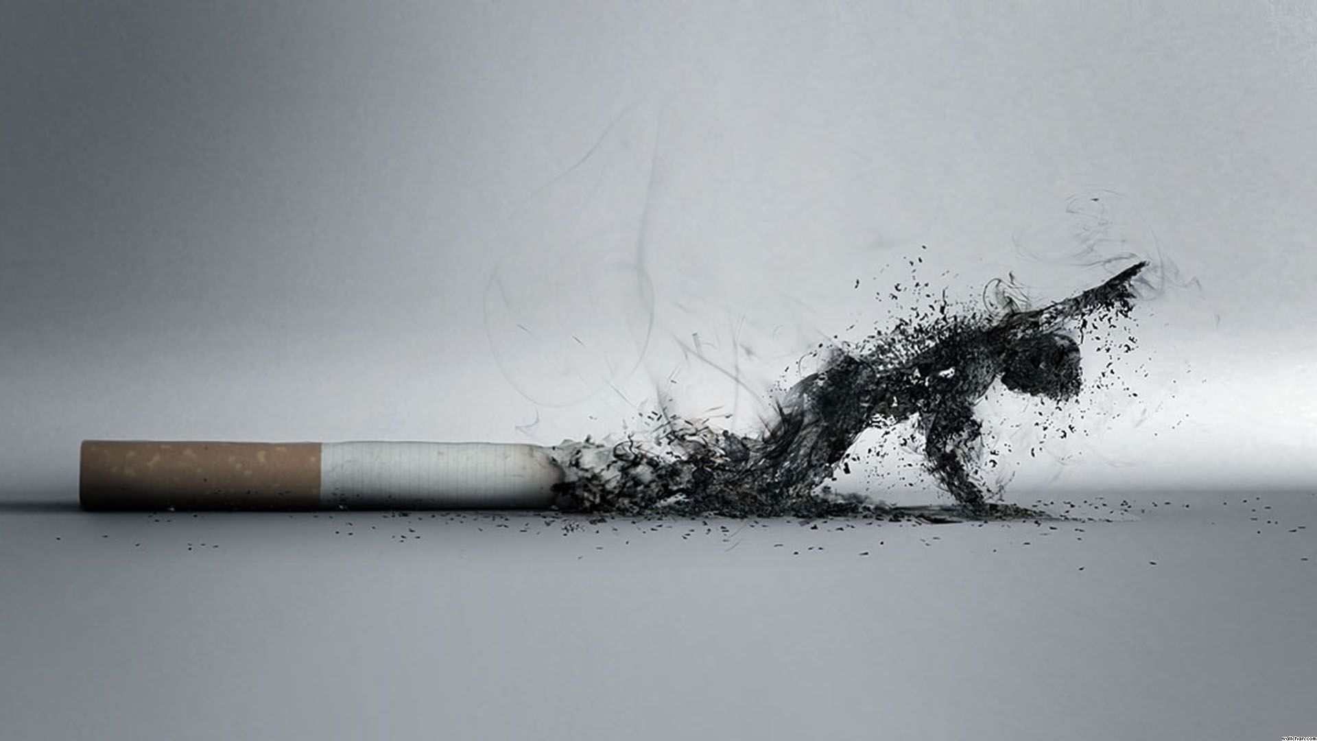 Cigarette Smoke Wallpapers