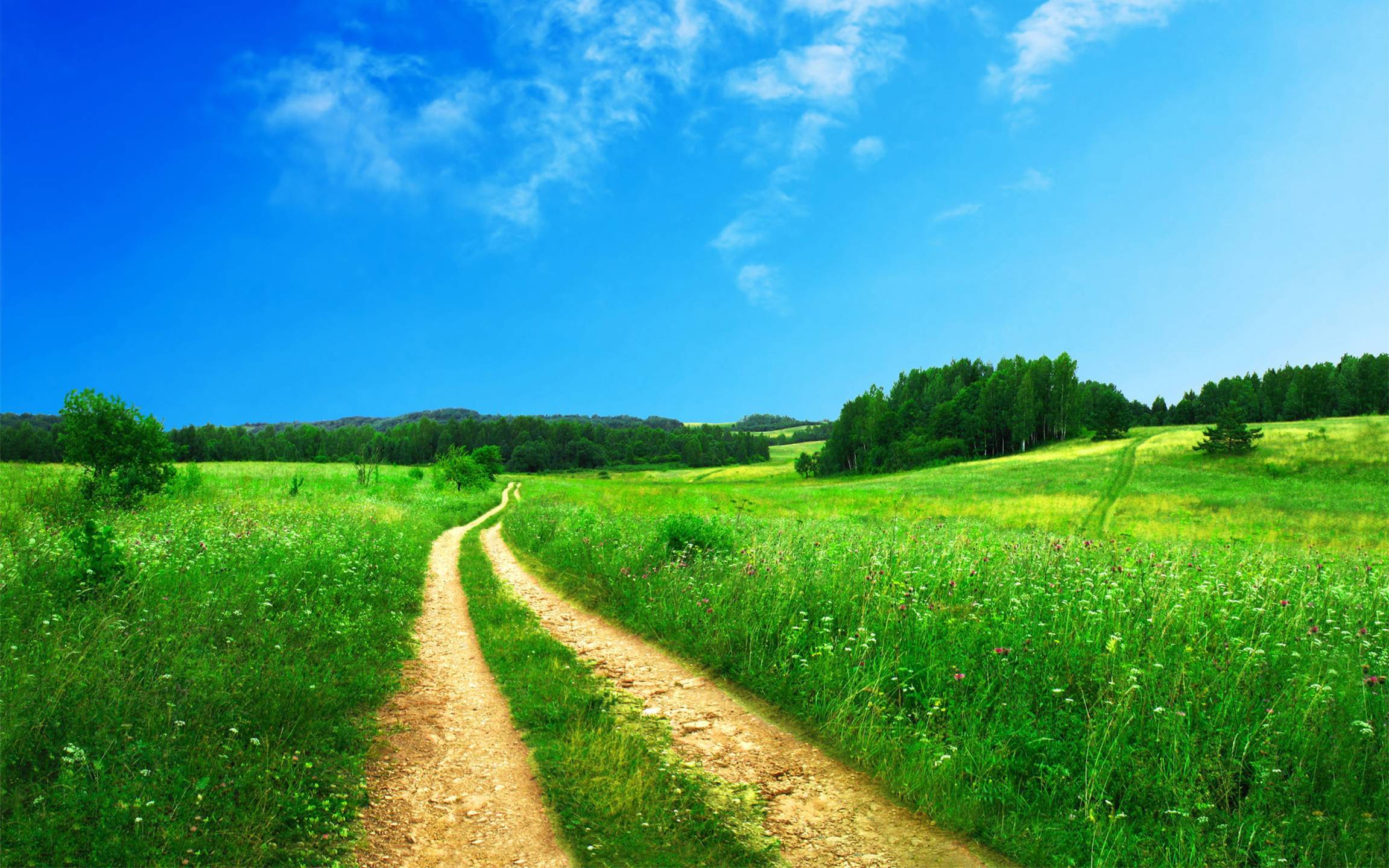 Country road scenery HD wallpaper, Background wallpaper