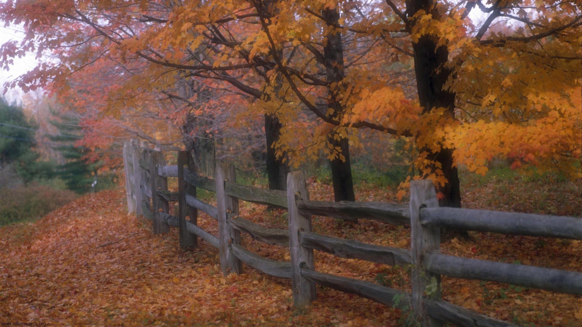 Country Fence, scenery, 1920x1080 HD Wallpaper and FREE Stock Photo