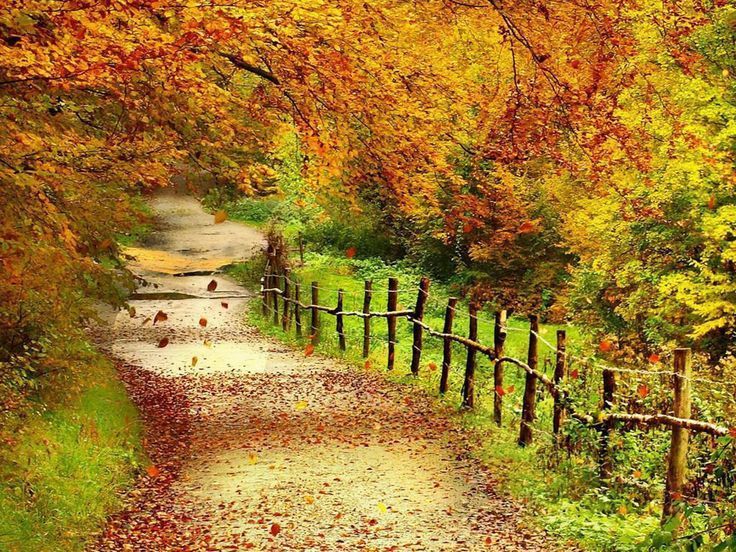 Fall Scenes on Pinterest Scenery, Autumn and Fall