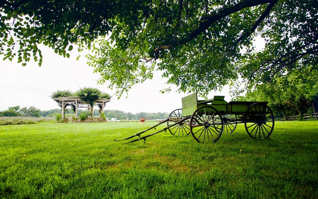 Other: Greenery Dray Green Nature Pavilion Grass Old Carriage Tree ...
