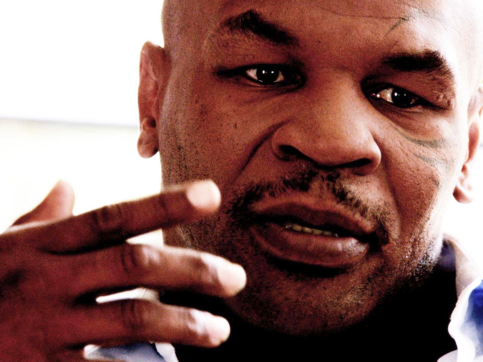 Famous boxer Mike tyson closeup wallpapers and images - wallpapers ...