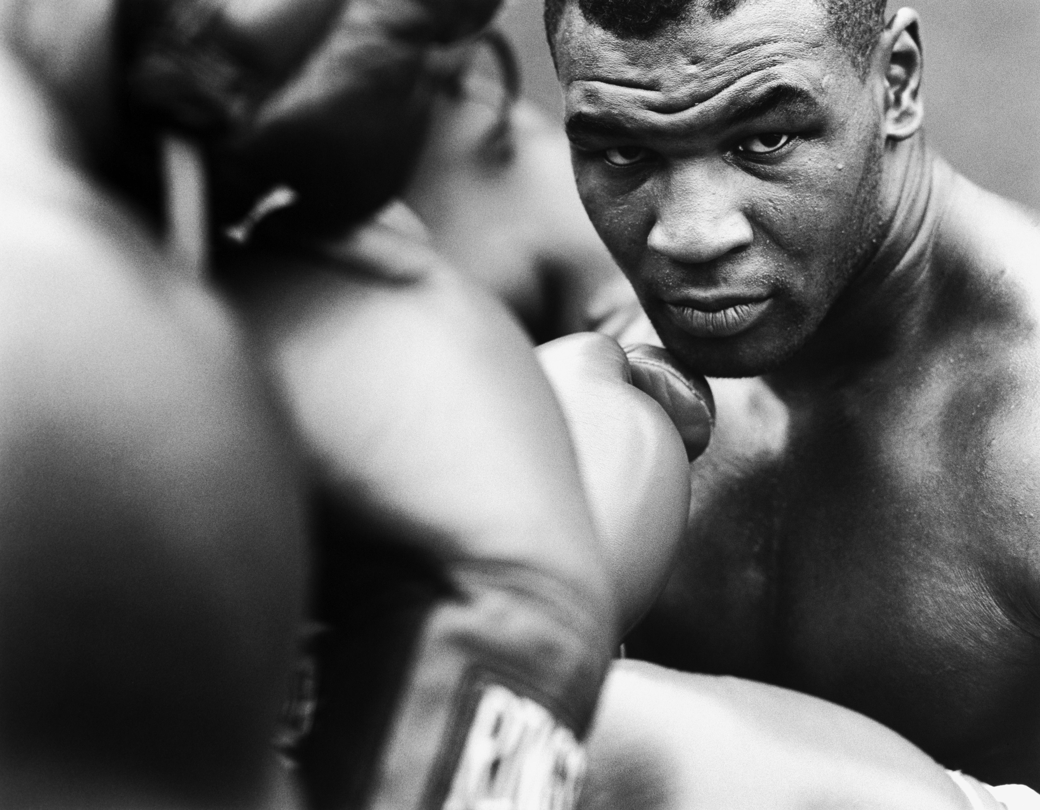 boxing, Mike Tyson, knockout :: Wallpapers
