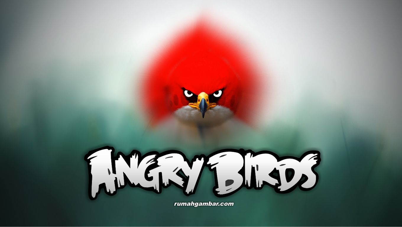 Wallpapers Angry Bird Birds For Ipads Angrybirds Guru 1360x768 ...