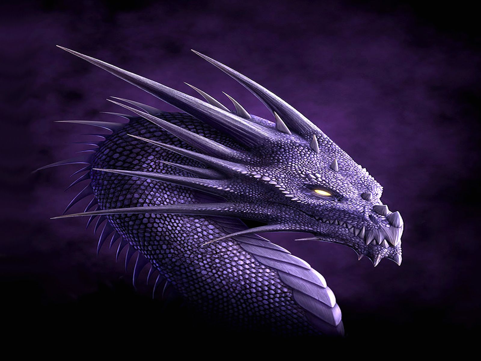 Dragon HD Wallpapers Dragon Pictures Cool Backgrounds