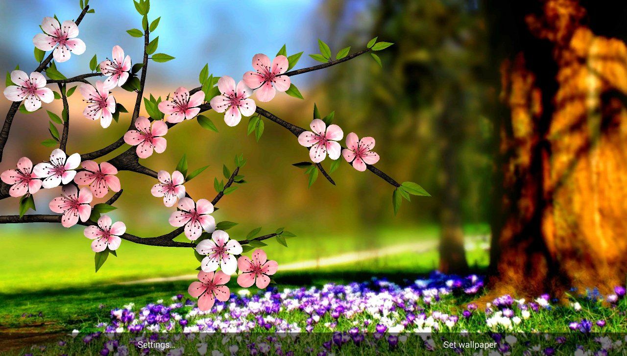 Spring Flowers - 3D Parallax Live Wallpaper for Android