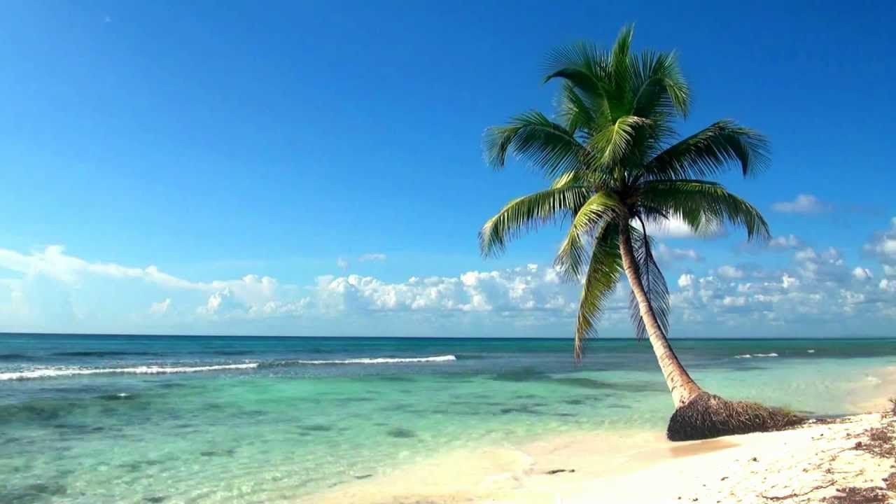 Relaxing Full HD Film Ocean Live Wallpaper Dreamscene - YouTube