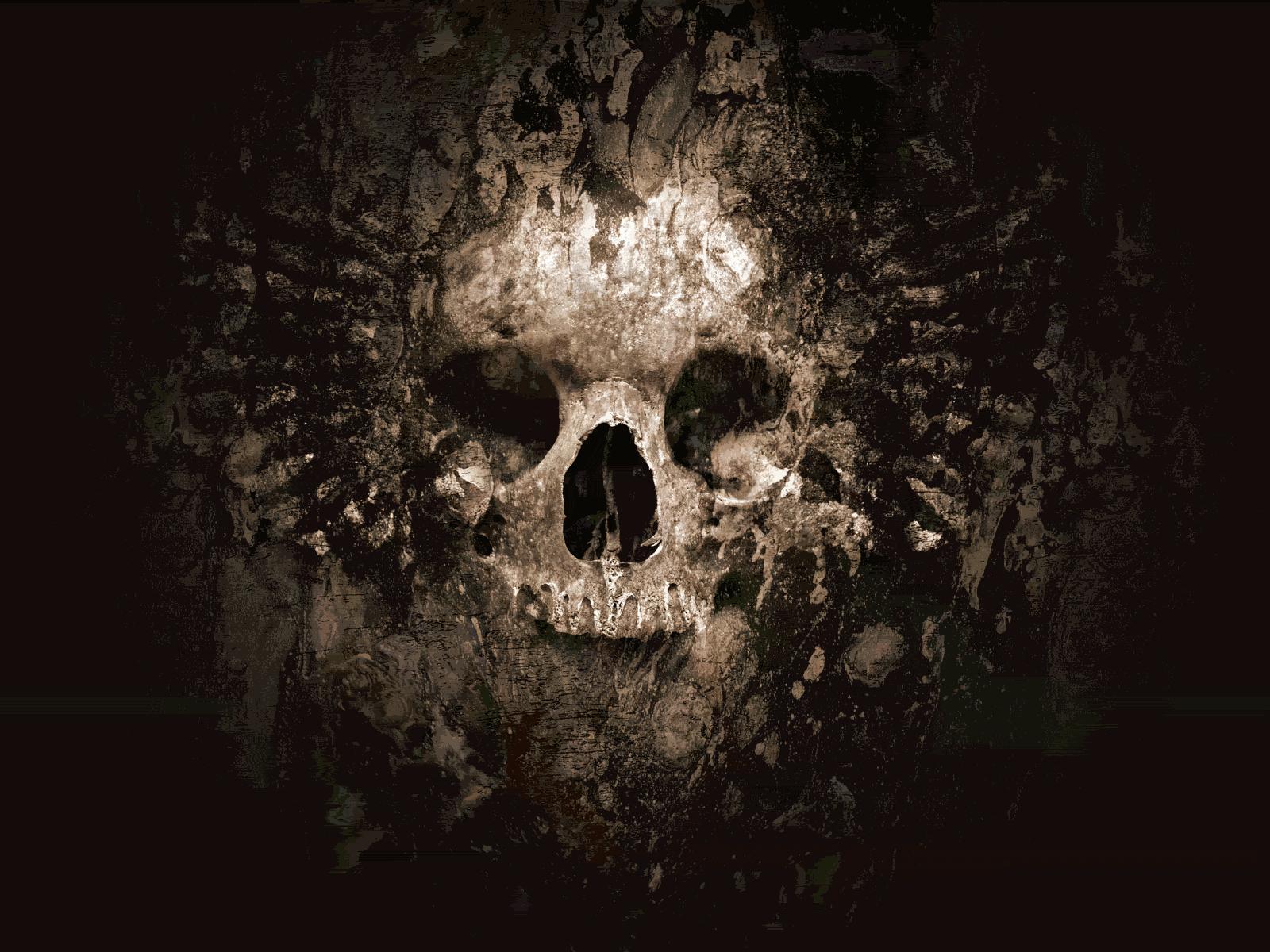 skull wallpaper - Skulls Wallpaper (8359631) - Fanpop