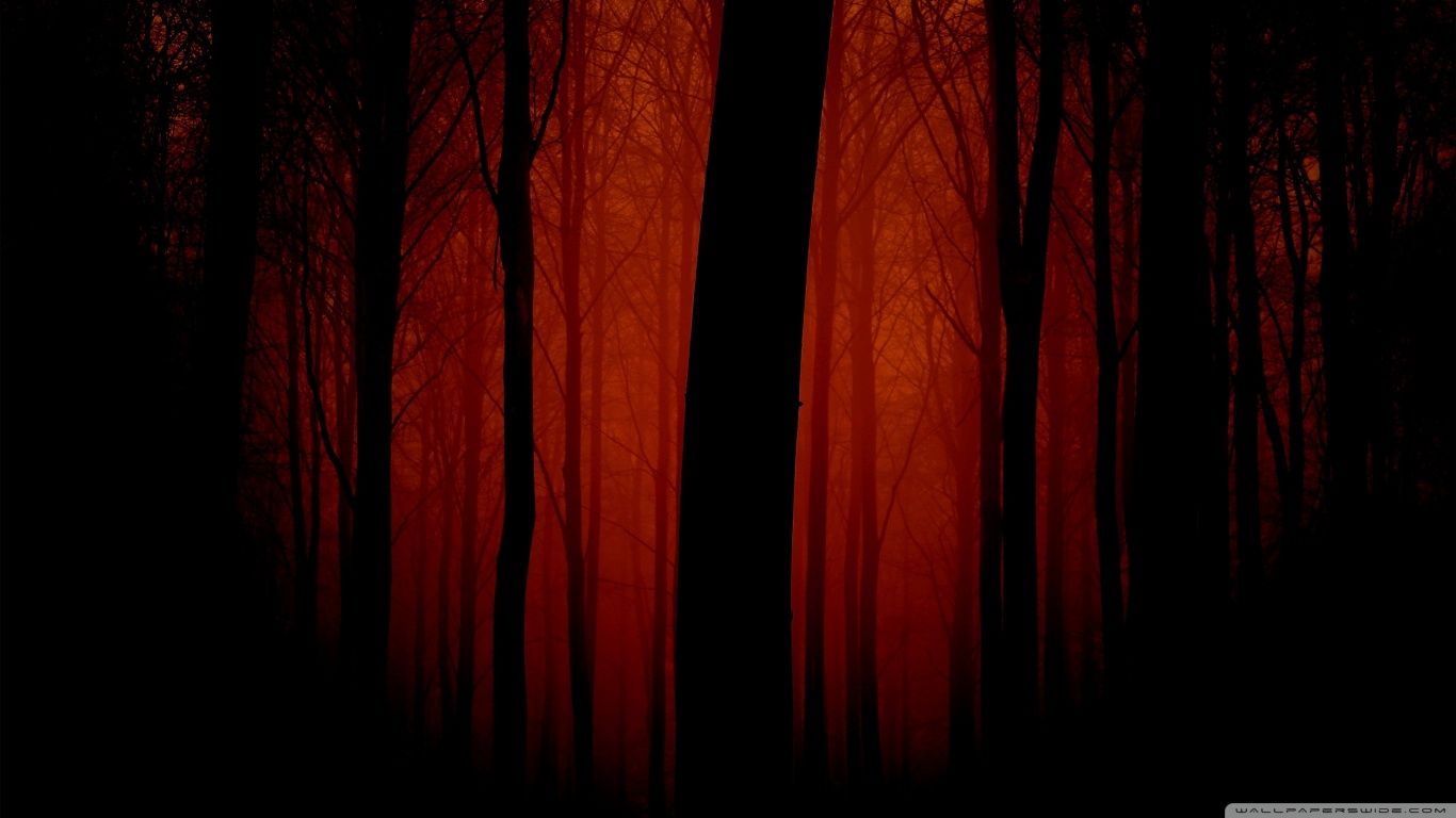 Bloody Forest HD desktop wallpaper High Definition Fullscreen