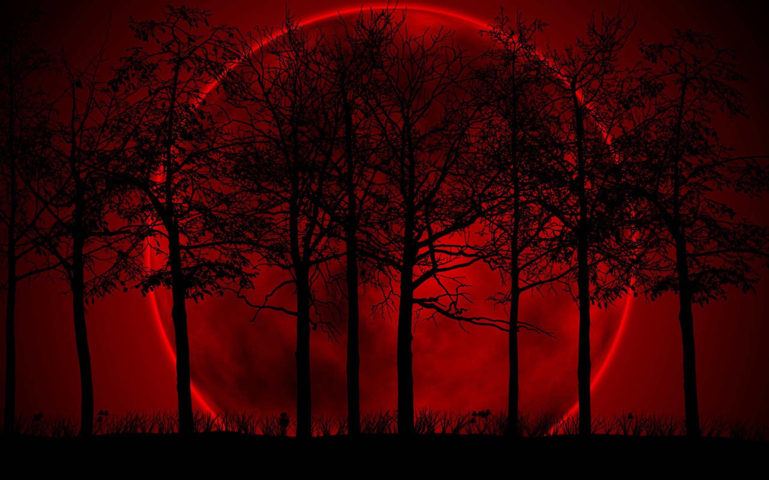 Blood Moon Exclusive HD Wallpapers