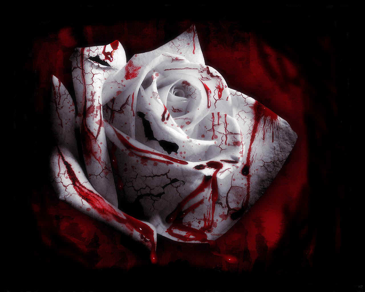 227 Blood HD Wallpapers | Backgrounds - Wallpaper Abyss