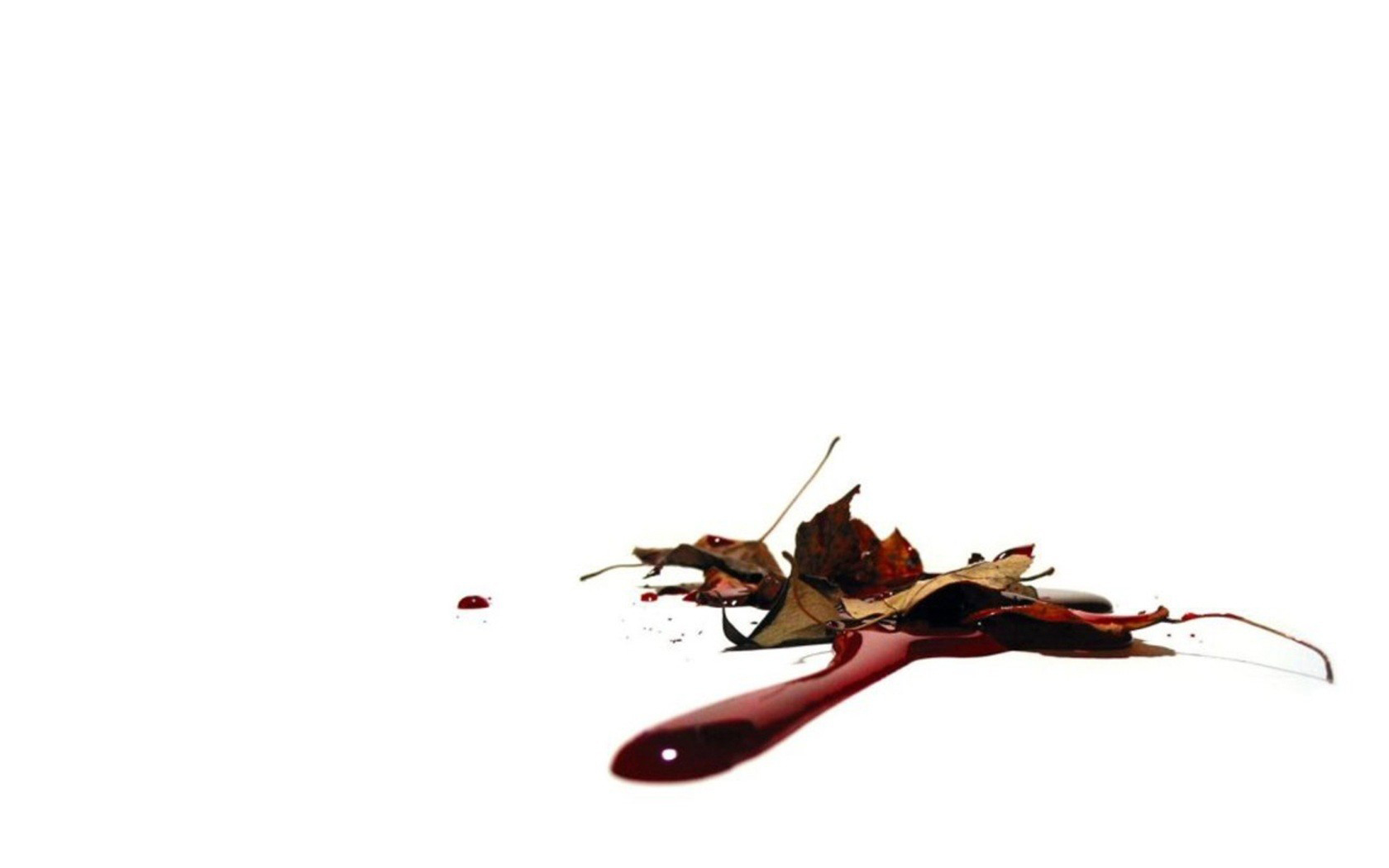 Download the Bloody Fall Wallpaper, Bloody Fall iPhone Wallpaper ...
