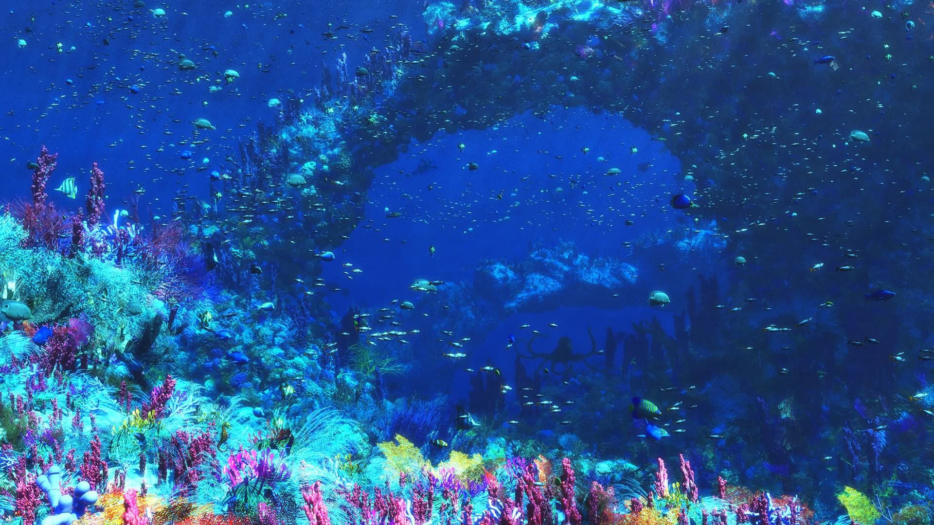 Sea Life Wallpapers - Wallpaper Cave