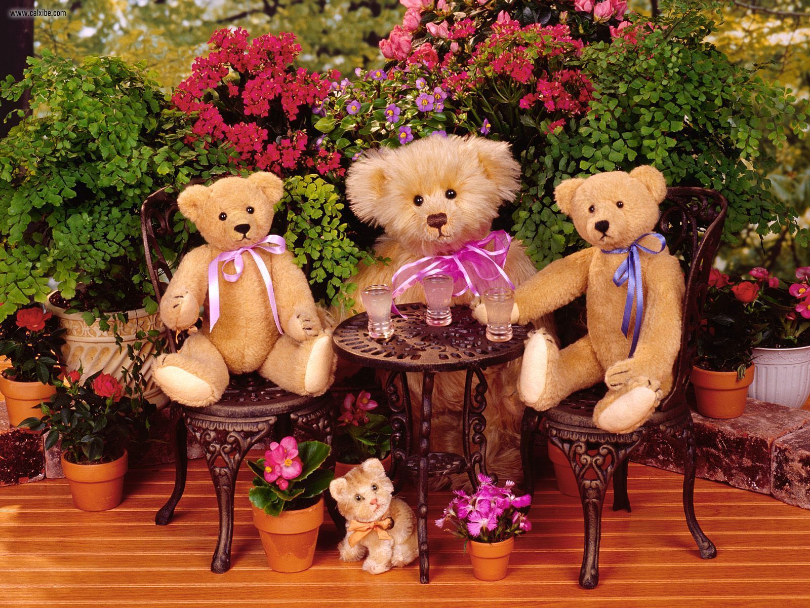 Teddy Bear With Love Wallpaper HD #8888 Wallpaper | High ...