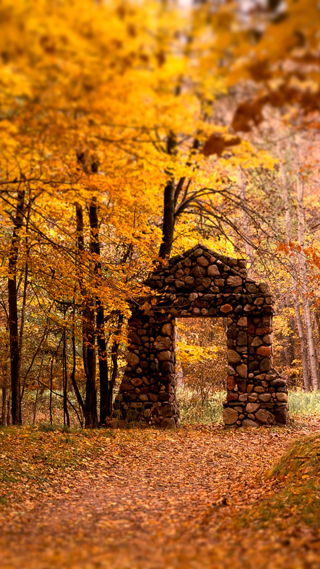 Brick Door Autumn Maple Trees Forest Android Wallpaper free download