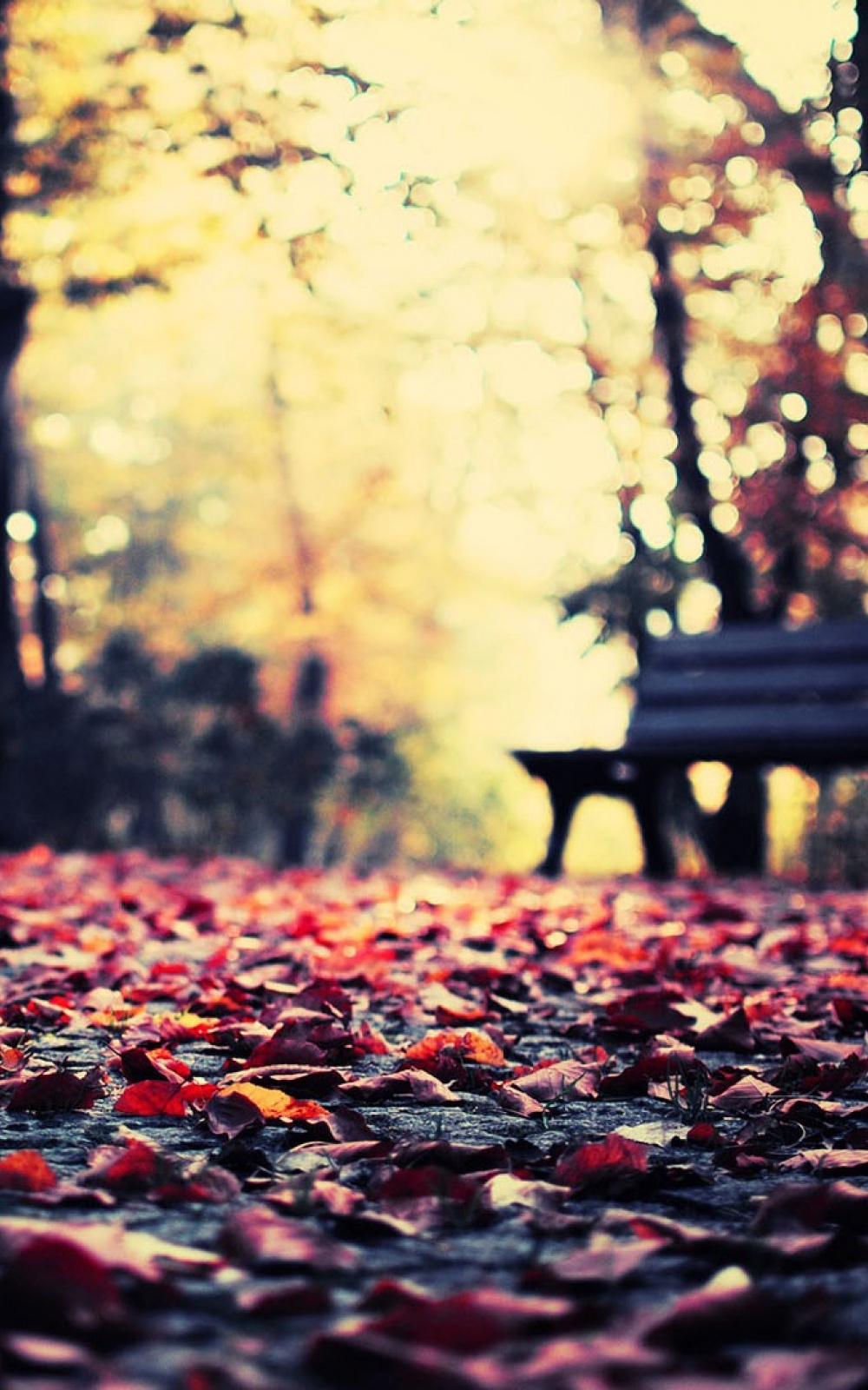 Autumn Leaves Bench Park Android Wallpaper free download