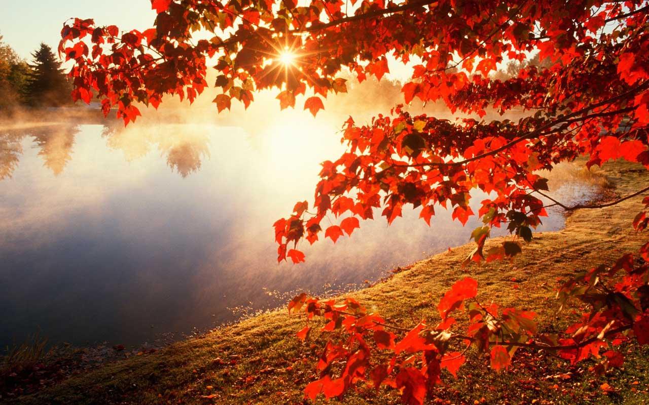 Autumn Wallpaper HD - Android Apps on Google Play