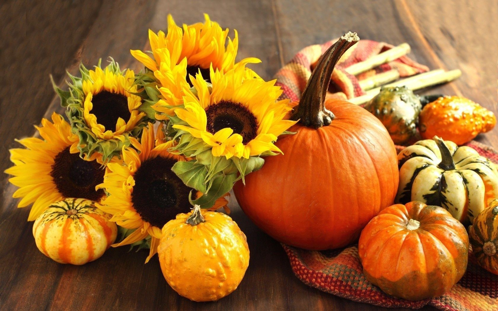 Fall Harvest Android HD Wallpapers Attachment 3873 - Amazing ...