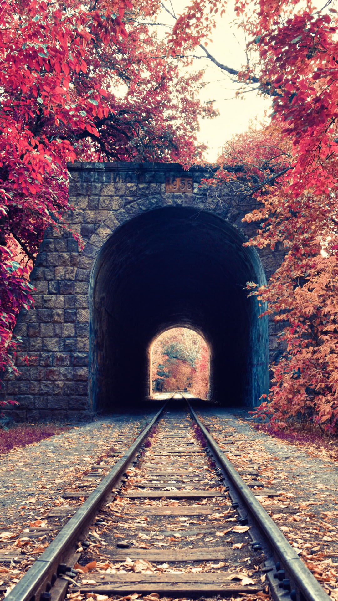 Autumn Train Tunnel Red Leaves Android Wallpaper free download