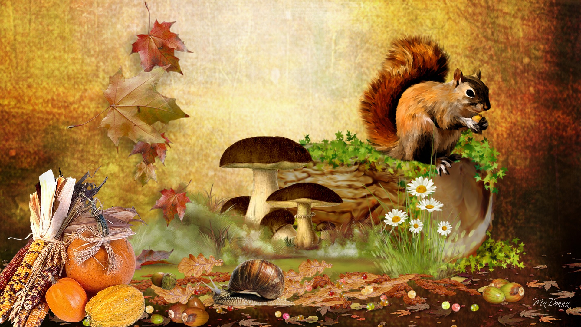 Fall with Animal HD Desktop Background Wallpapers 4034 - Amazing ...