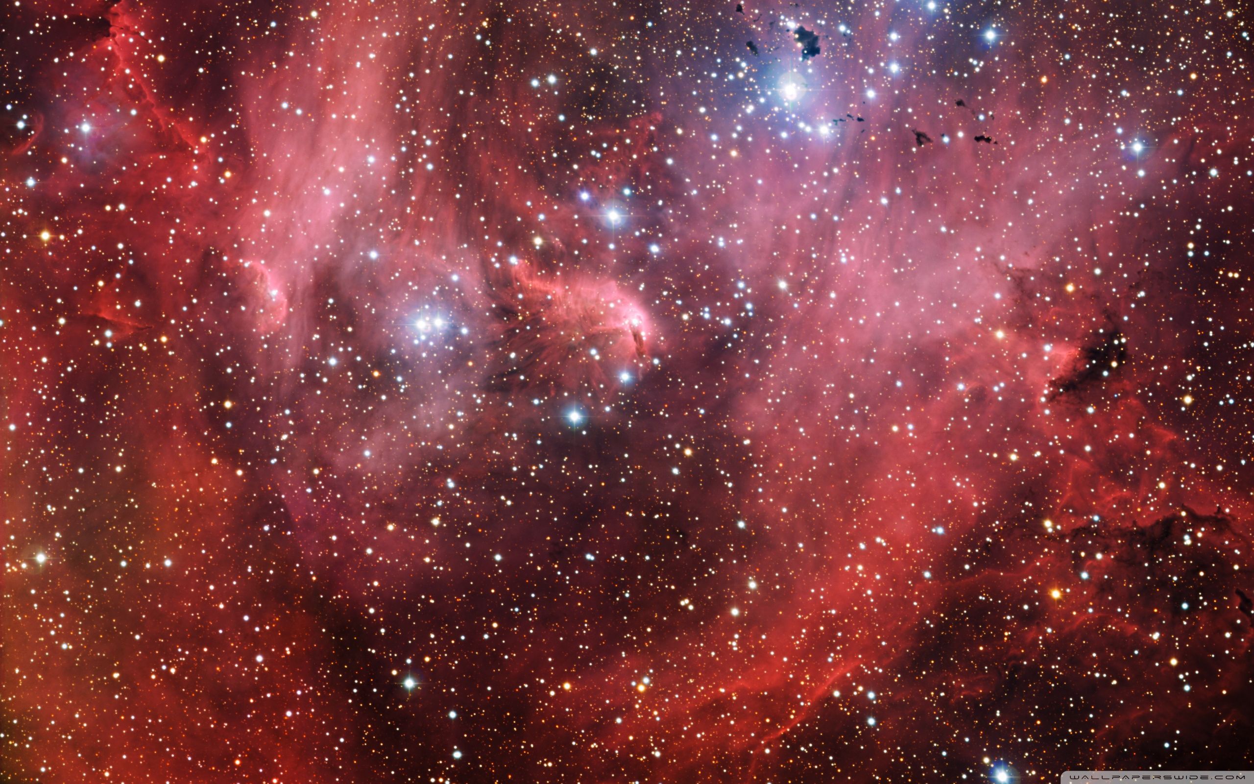 Stars In Space Wallpaper Full HD 2560x1600 - Free wallpaper full