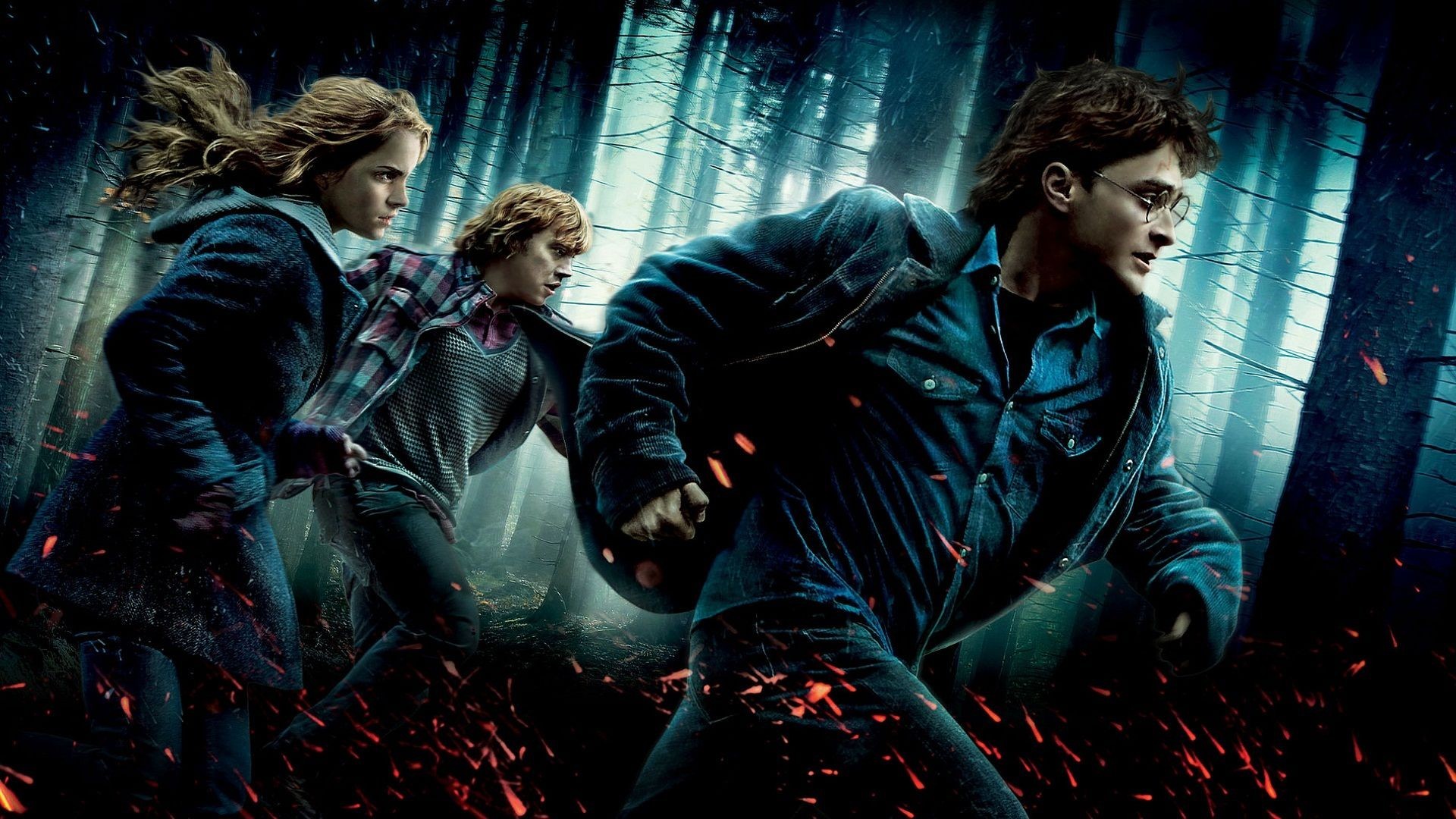 HARRY POTTER DEATHLY HALLOWS t wallpaper 1920x1080 102002