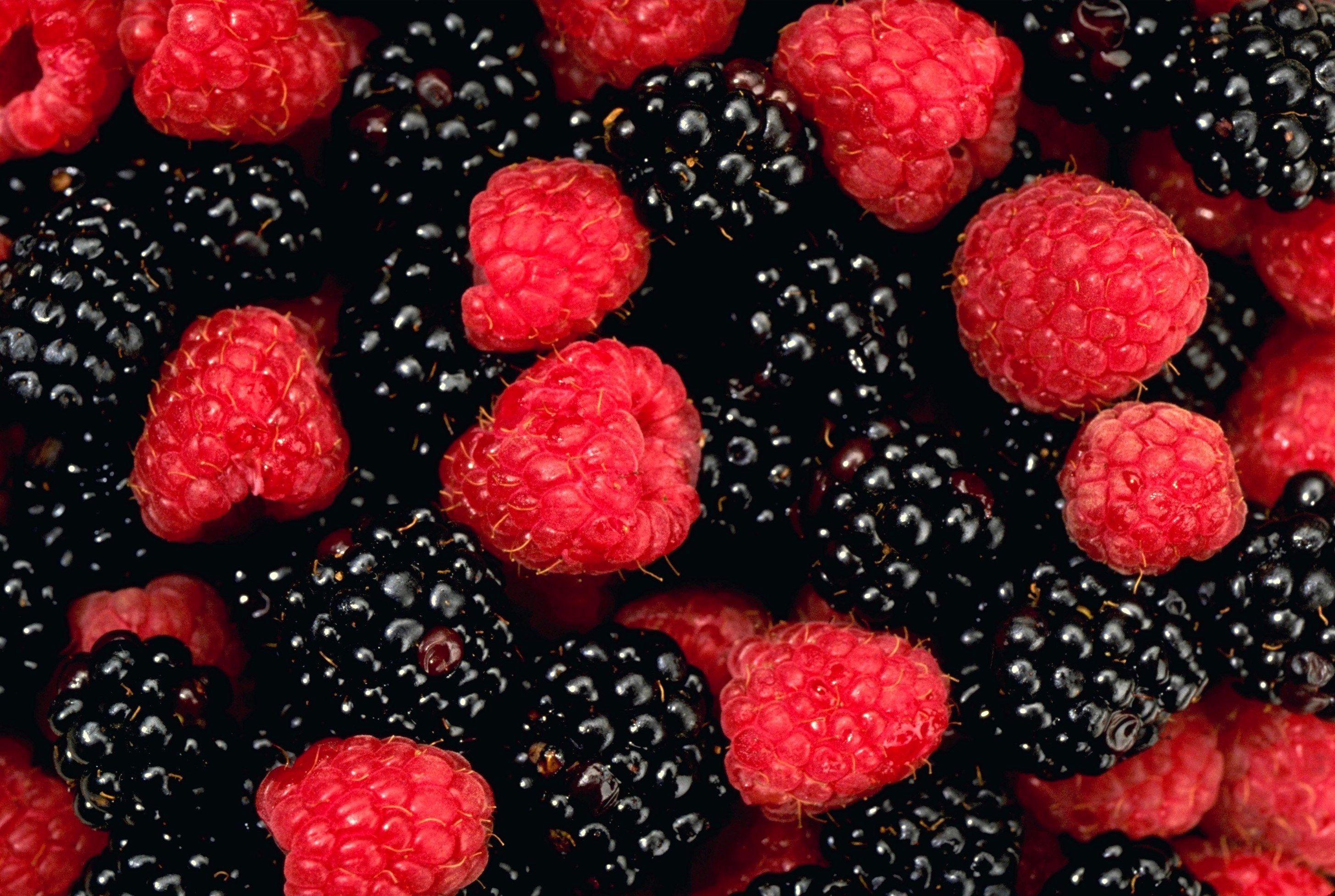 Wallpapers Fruit Raspberry Food Image #252253 Download