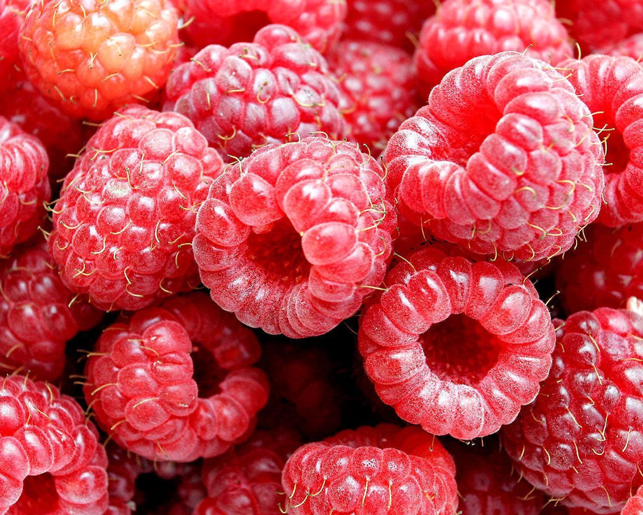 Raspberry - Food Wallpaper 4178406 - Fanpop