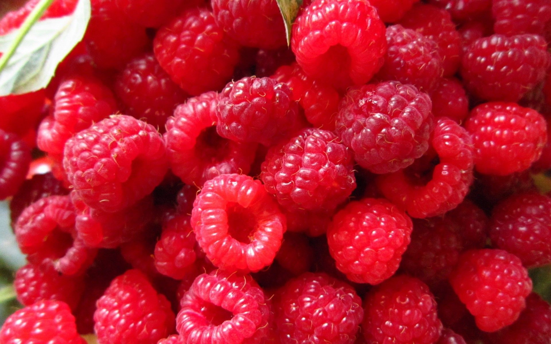 fruits_raspberries_wallpapers-1.jpg