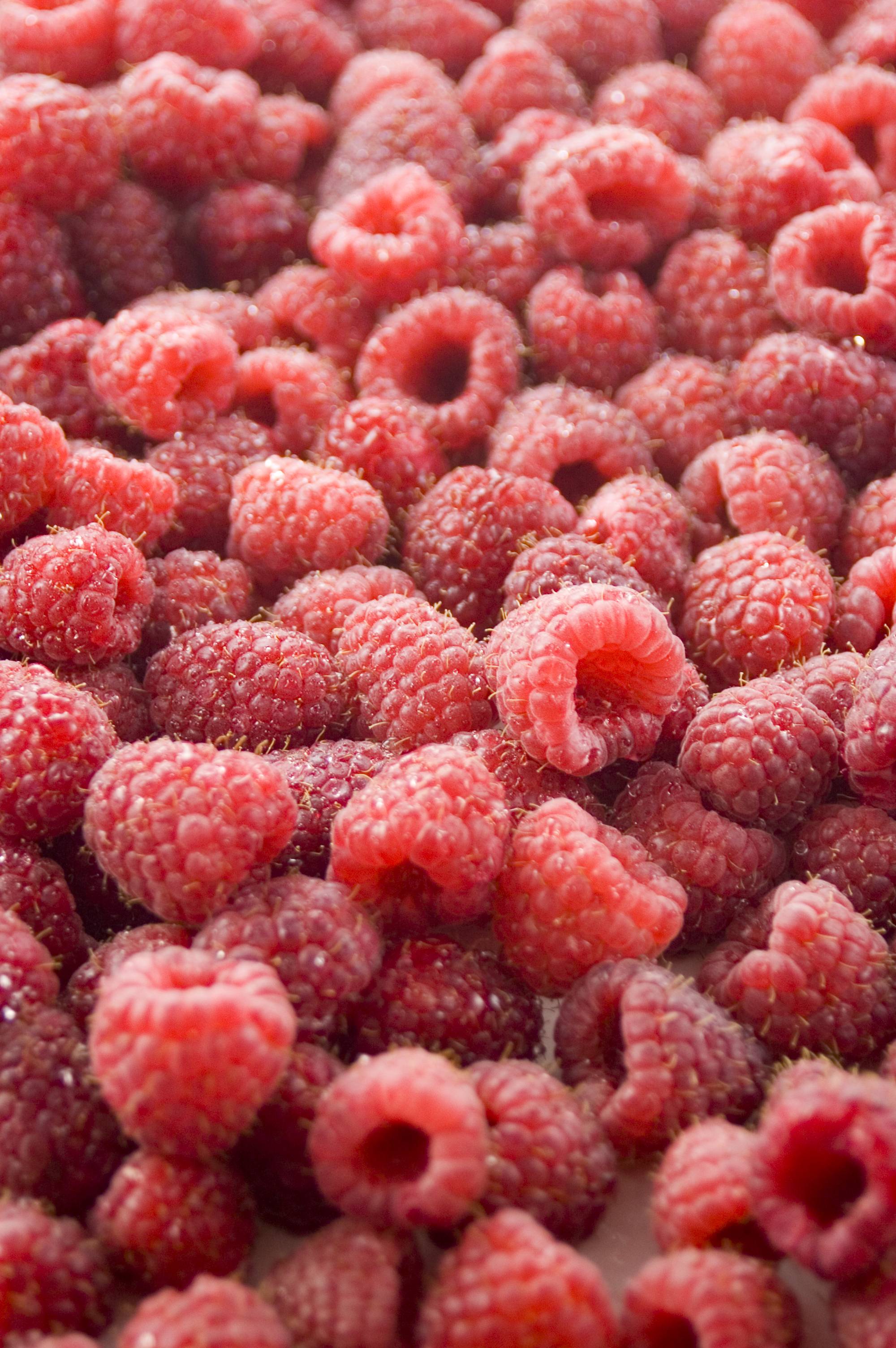 Raspberry Wallpaper 8 - Fruit Wallpaper