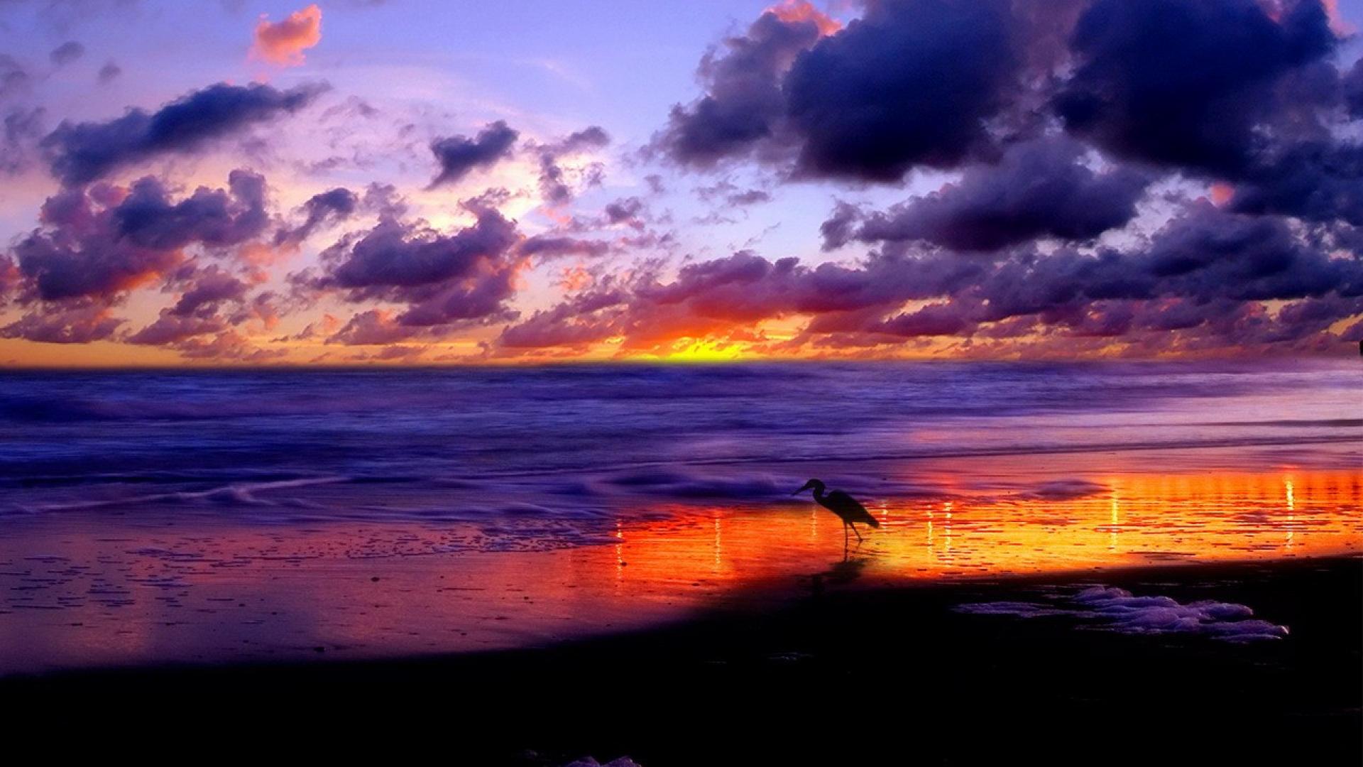 Nature photography wallpaper silhouette sunset in hawaii nature