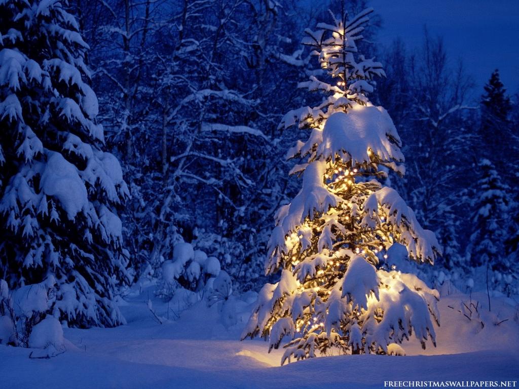 Snowy Christmas Desktop Background Wallpapers Attachment 14566 ...